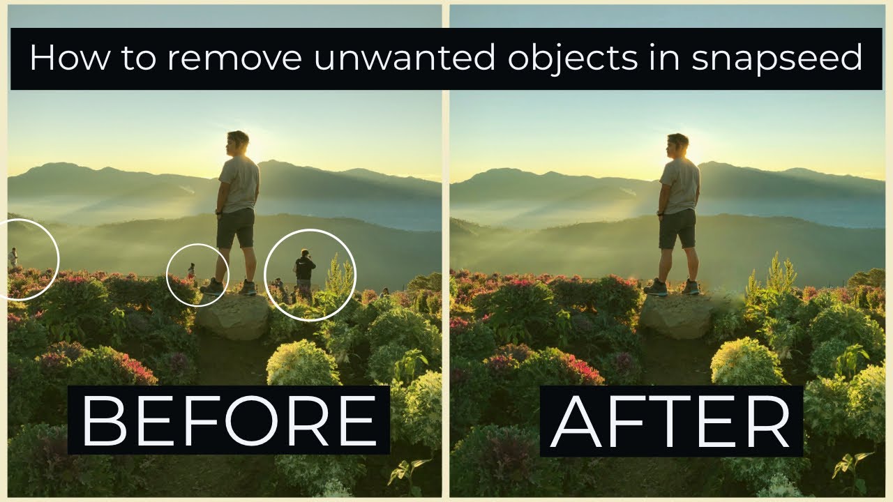 How to Remove Unwanted Objects with Snapseed